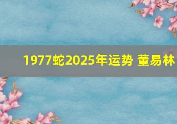 1977蛇2025年运势 董易林